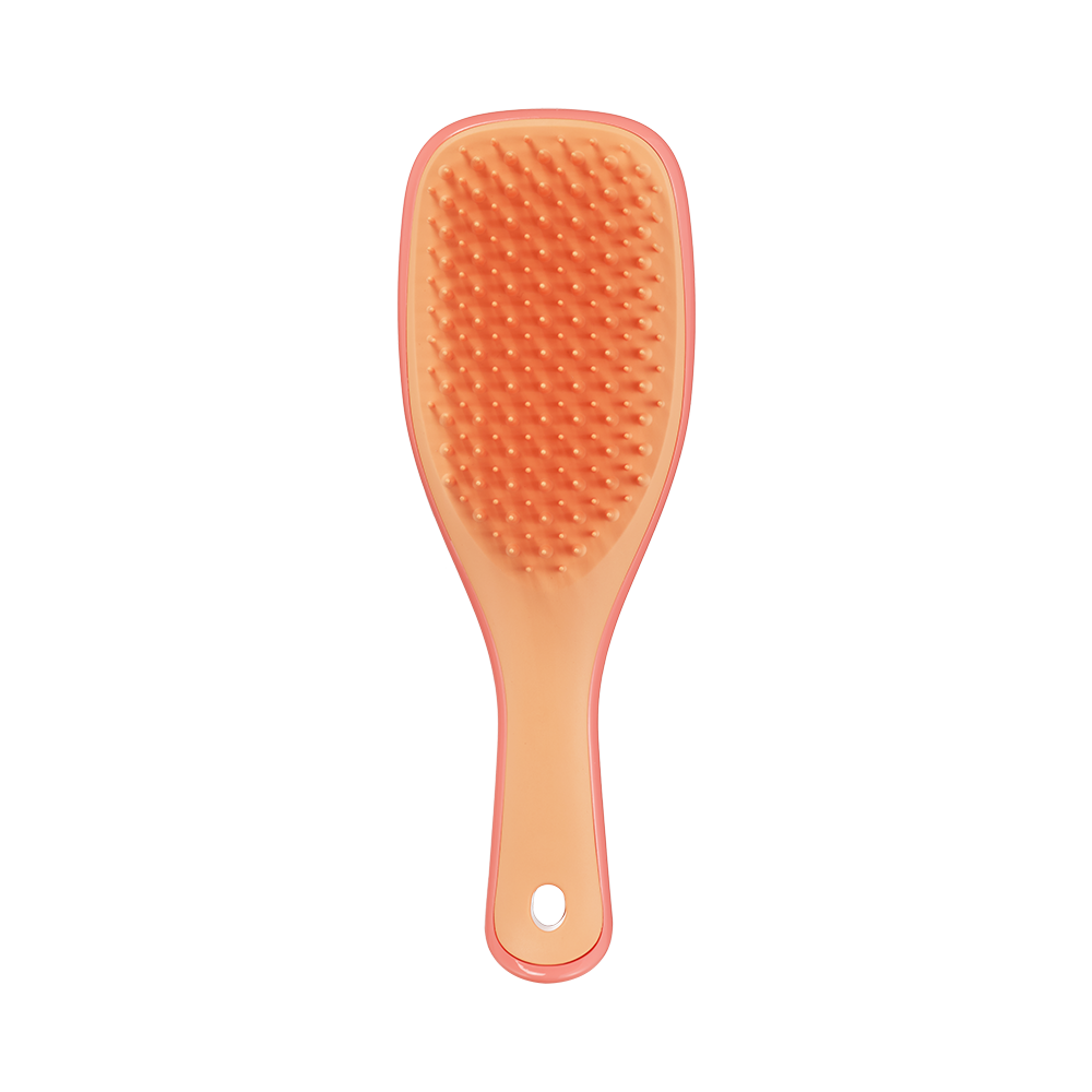 Tangle Teezer The Ultimate Detangler Mini Borstel