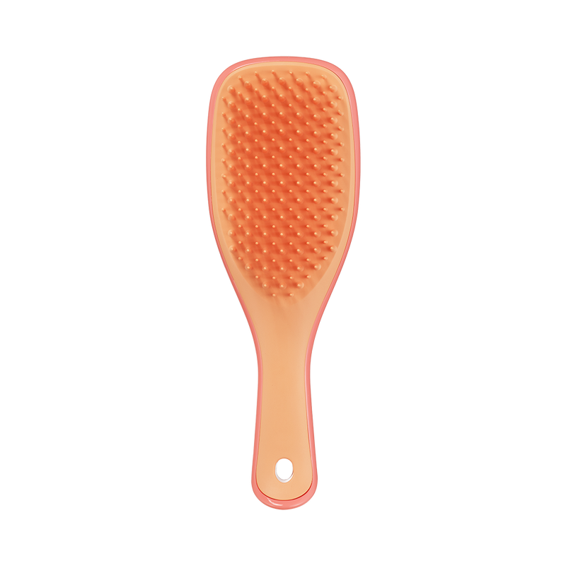 Tangle Teezer The Ultimate Detangler Mini Borstel