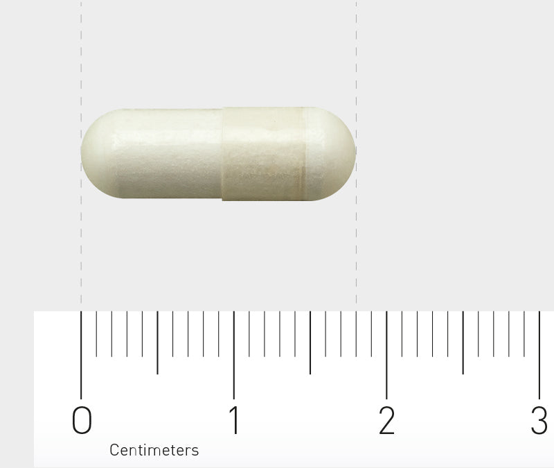 Orthica Brain Support Capsules