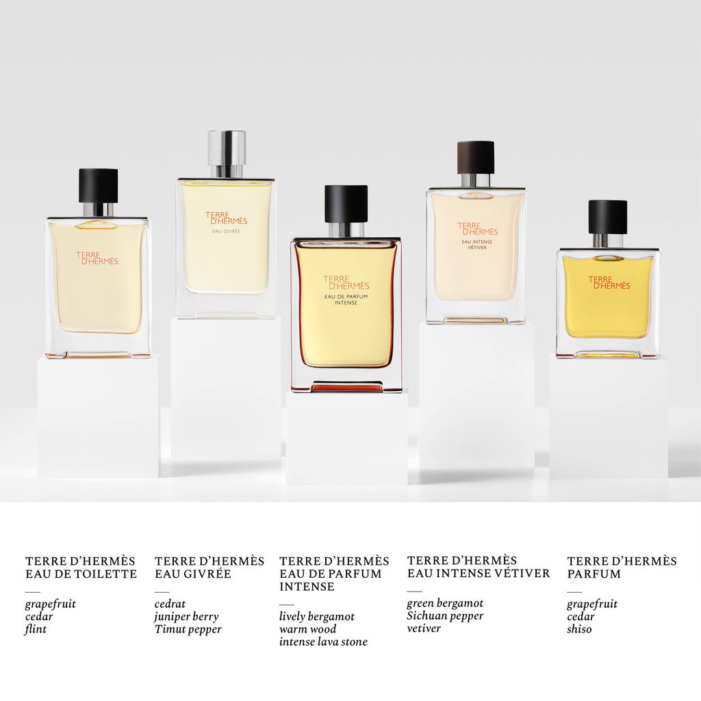 Hermès Terre d'Hermès Eau de Parfum Intense Giftset