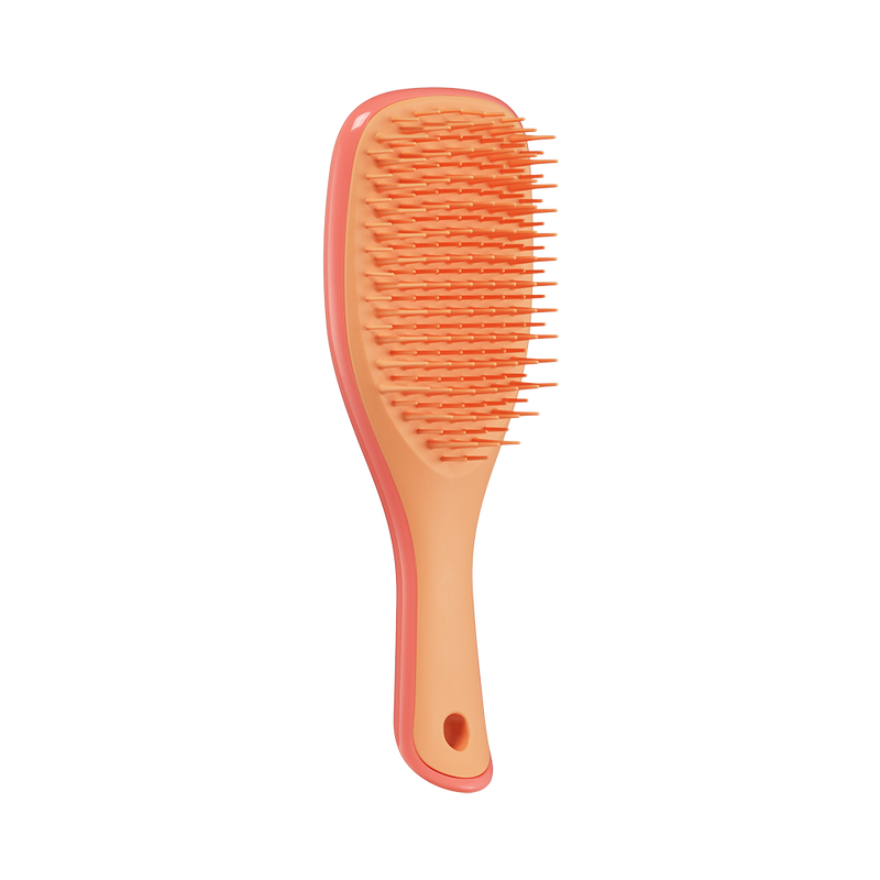 Tangle Teezer The Ultimate Detangler Mini Borstel