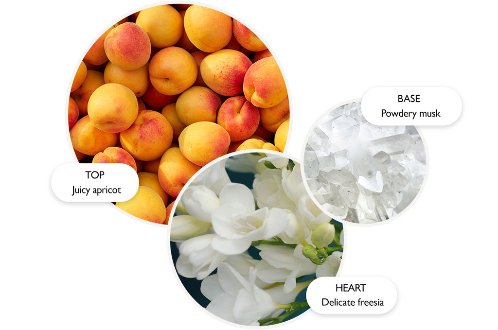Molton Brown Apricot & Freesia Body Lotion