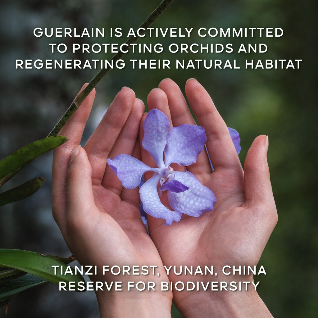 Guerlain The Longevity Cream
