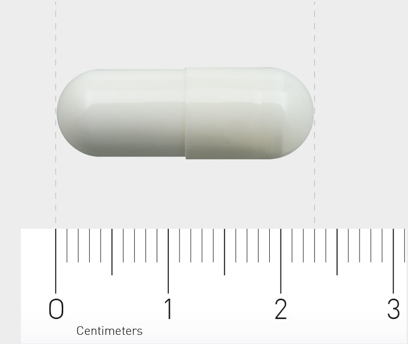 Orthica L-Glutamine-500 Capsules