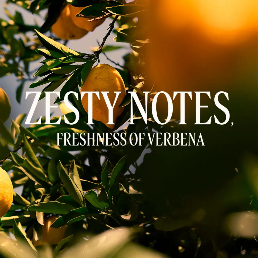 L'Occitane Verveine Shower Gel