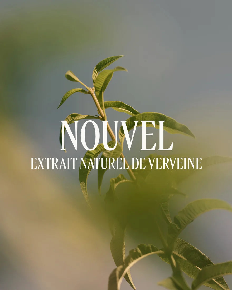 L'Occitane Verveine Shower Gel Refill