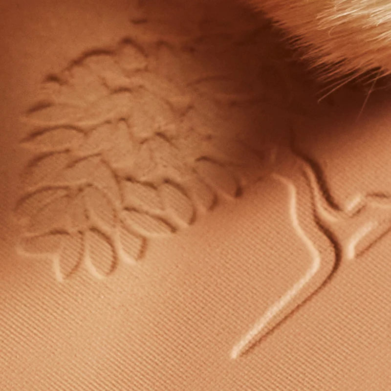 Nuxe Prodigieux La Poudre Eclat Bronzing