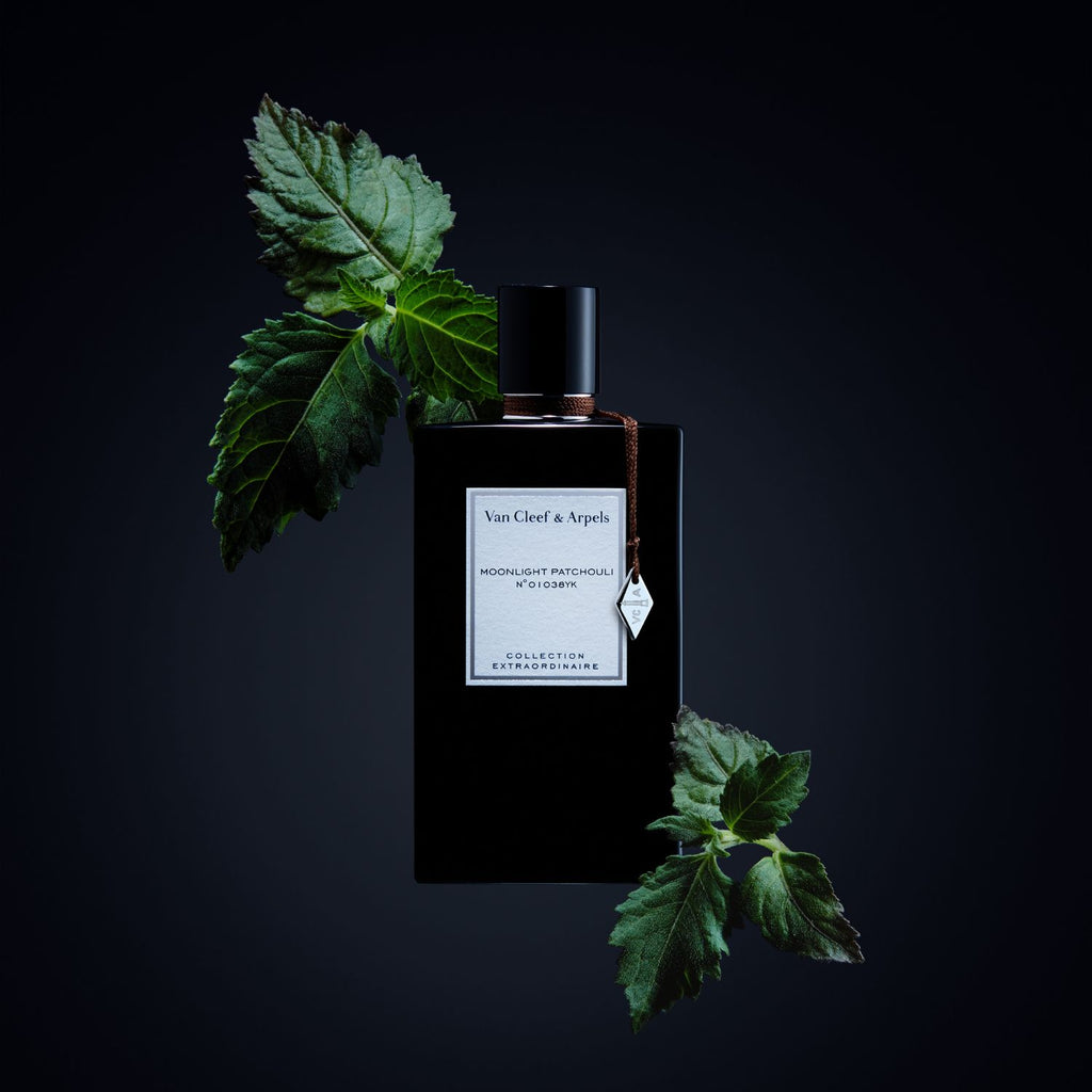 Van Cleef & Arpels Collection Extraordinaire Moonlight Patchouli Eau de Parfum