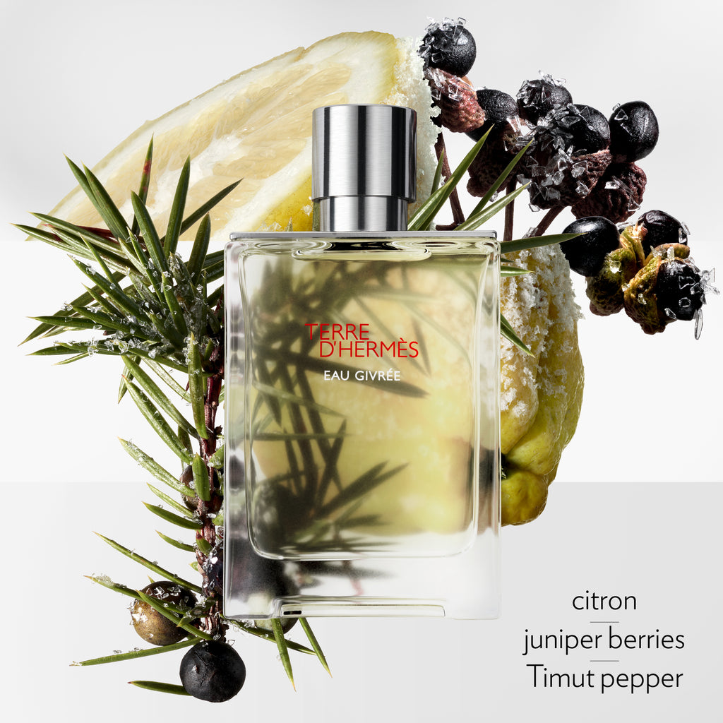 Hermès Terre d'Hermès Eau Givrée Eau de Parfum