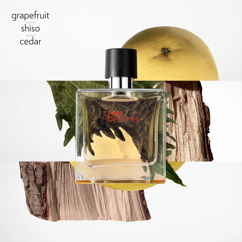 Hermès Terre d'Hermès Pure Parfum