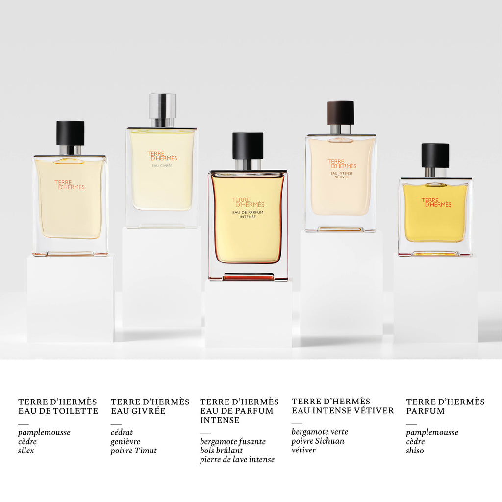 Hermès Terre d'Hermès Eau Givrée Eau de Parfum Refill