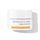Dr. Hauschka Gezichtsverzorging Lipverzorging Lippenbalsem Droge Lippen