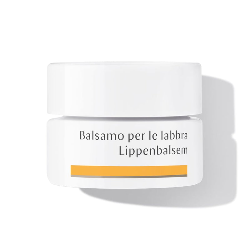Dr. Hauschka Gezichtsverzorging Lipverzorging Lippenbalsem Droge Lippen