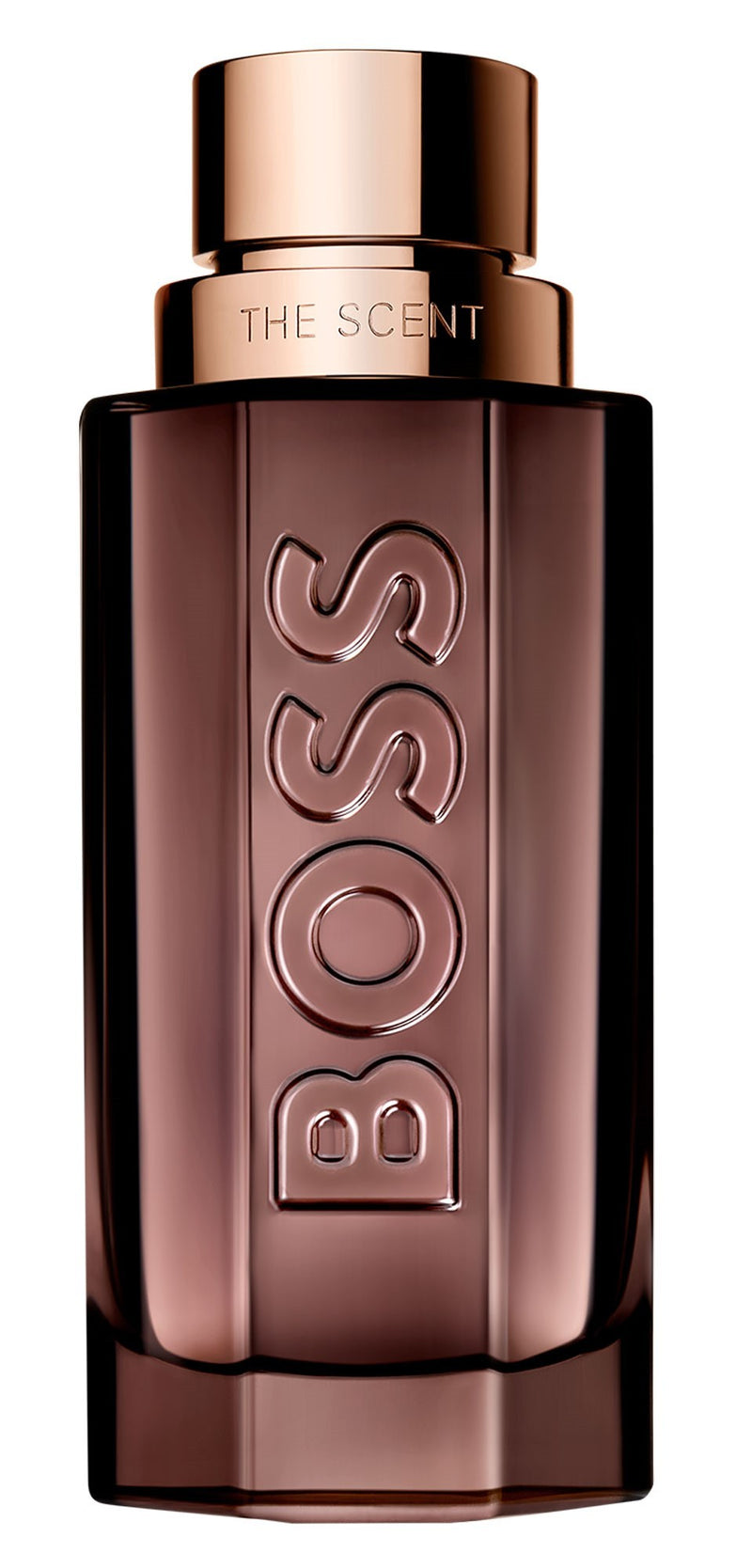 Hugo Boss The Scent Le Parfum For Him